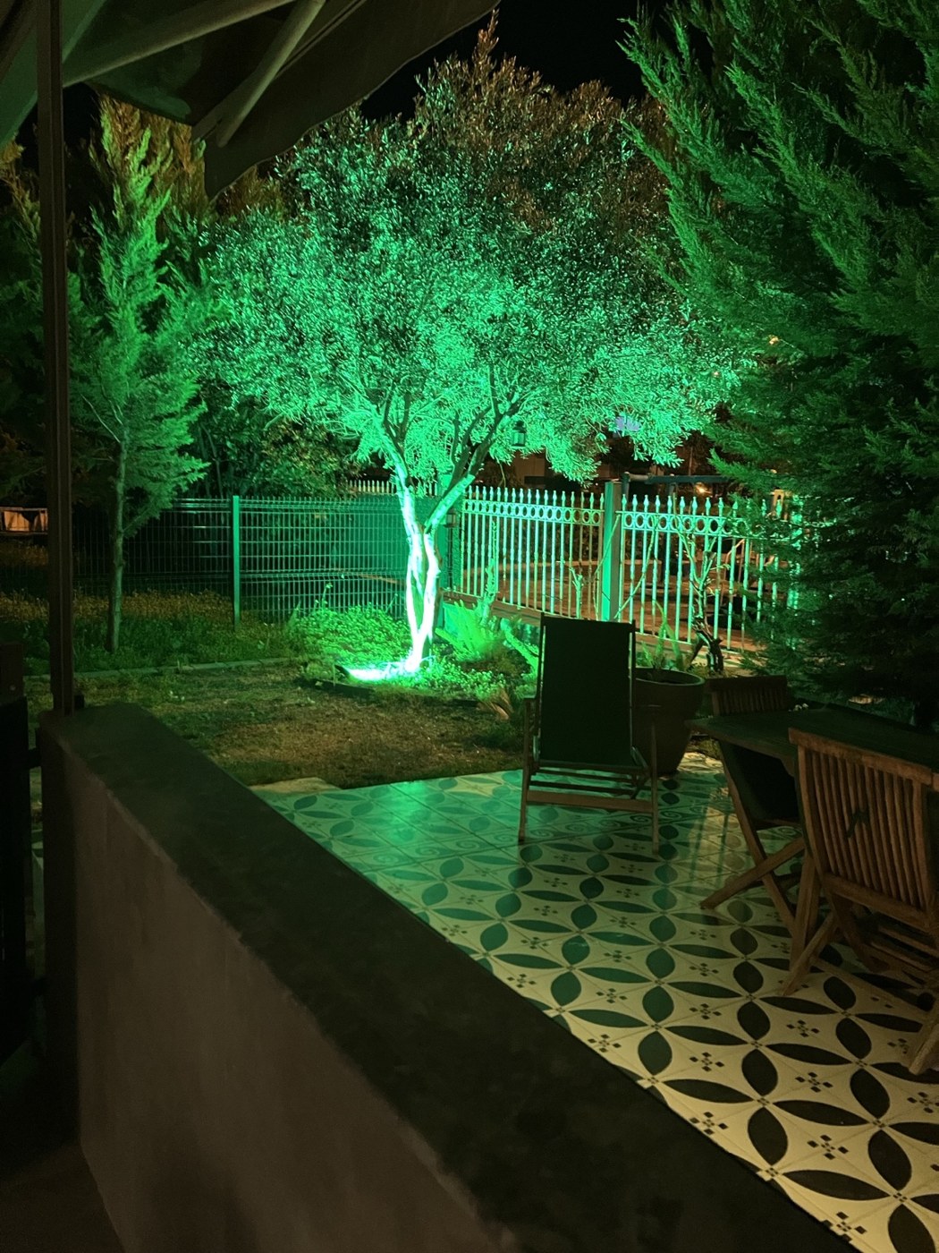 Bahçedeki ağacı aydınlatan yeşil ışık uygulaması